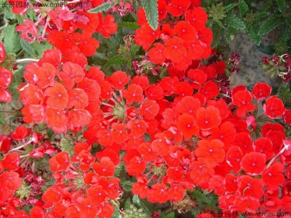 1-1FF2094450152.jpg