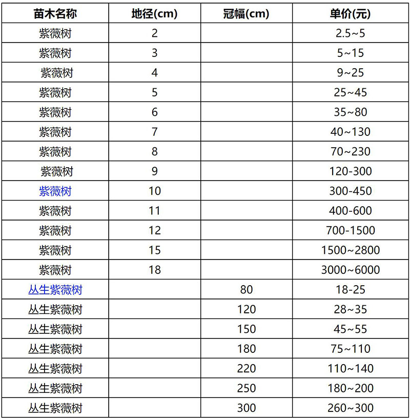 2022年紫薇樹最新價(jià)格表查詢