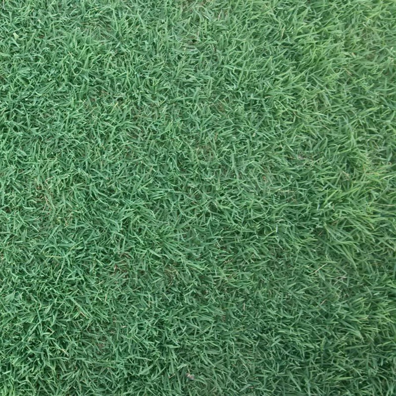 1647758093883507.jpg
