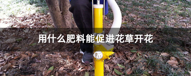 用什么肥料能促進花草開花 用什么肥料能促進花草開花