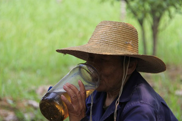 友情提醒苗木人：高溫來襲.jpg