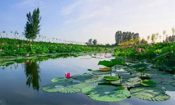 綠色景觀2.jpg